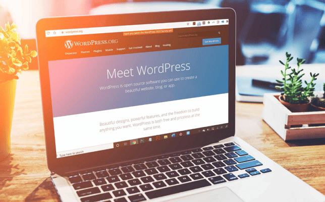 thiet ke website wordpress