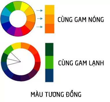 màu thiết kế website